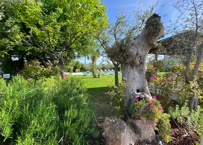 Agricampeggio Oasi Del Garda